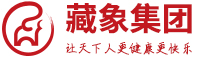 藏象集團(tuán)